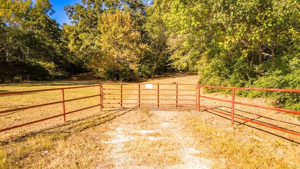 60.68 acres in Freestone County - photo 28
