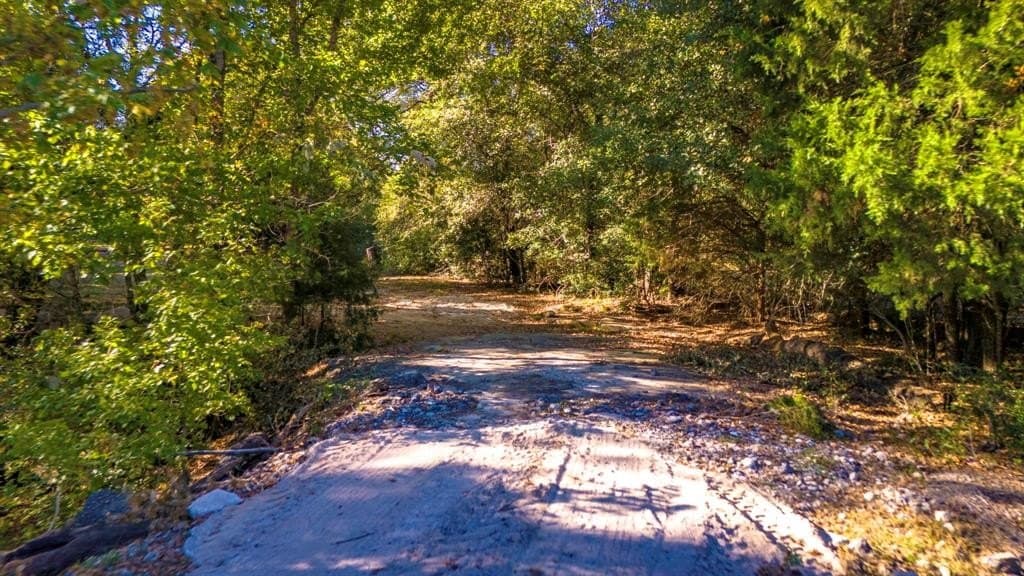 60.68 acres in Freestone County - photo 27