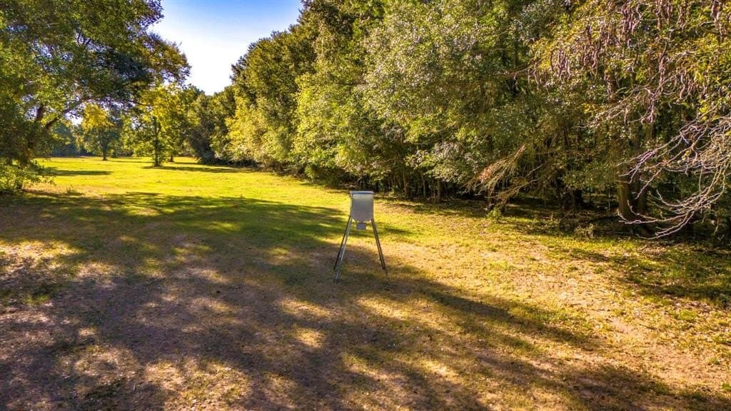 60.68 acres in Freestone County - photo 24