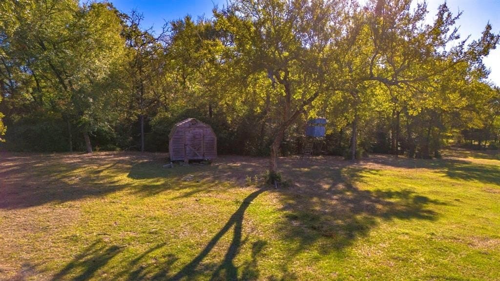 60.68 acres in Freestone County - photo 22