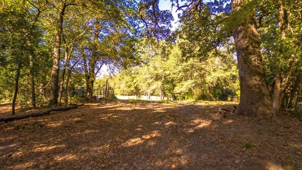 60.68 acres in Freestone County - photo 32