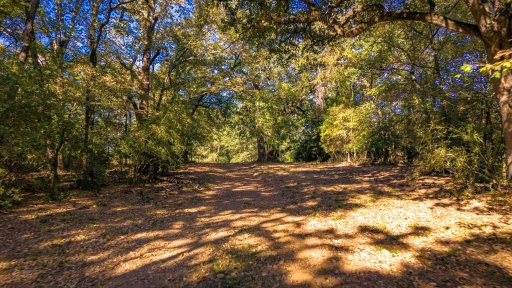 60.68 acres in Freestone County - photo 31