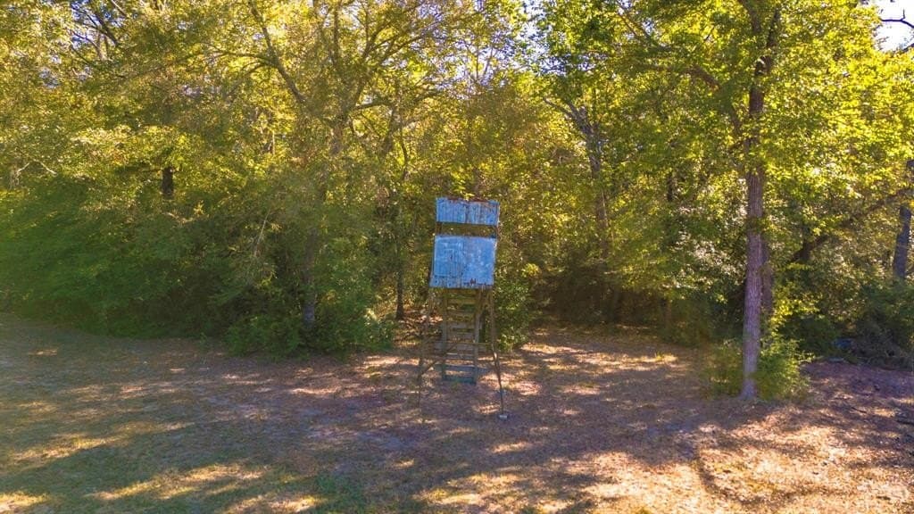 60.68 acres in Freestone County - photo 23