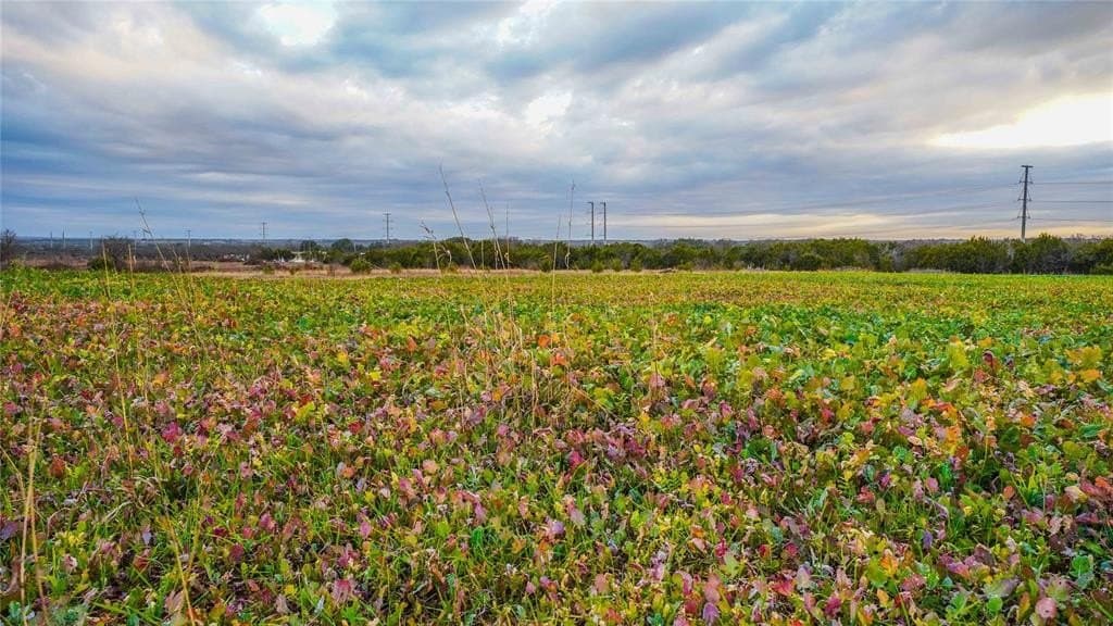 40 acres in Erath County - photo 39
