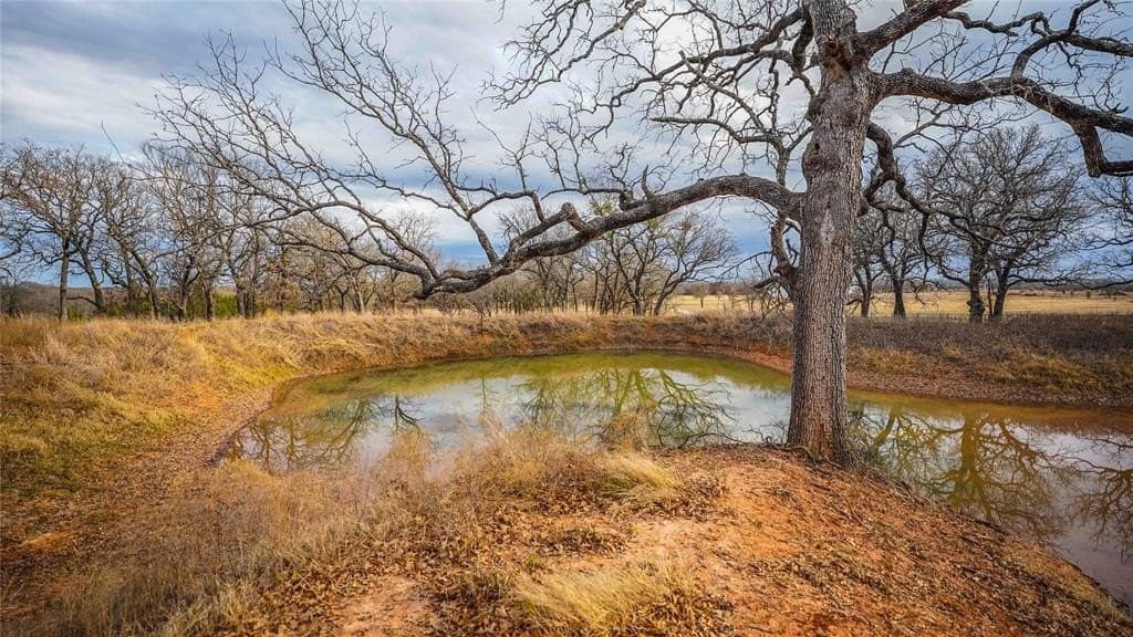 40 acres in Erath County - photo 33