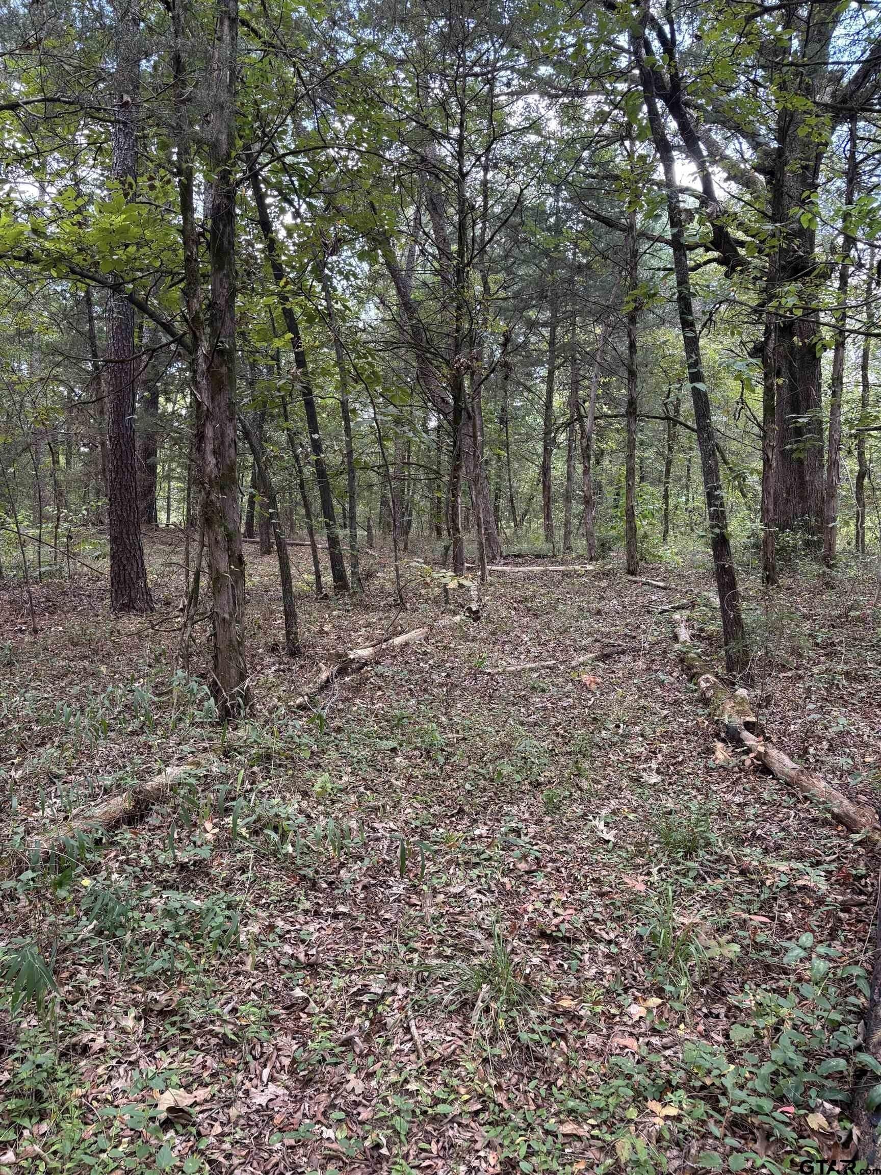 15.79 acres in Smith County - photo 8