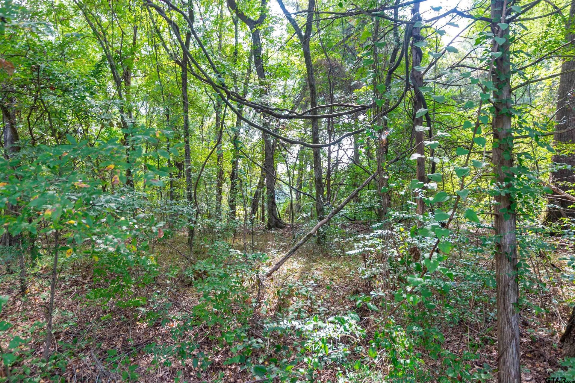 15.79 acres in Smith County - photo 5