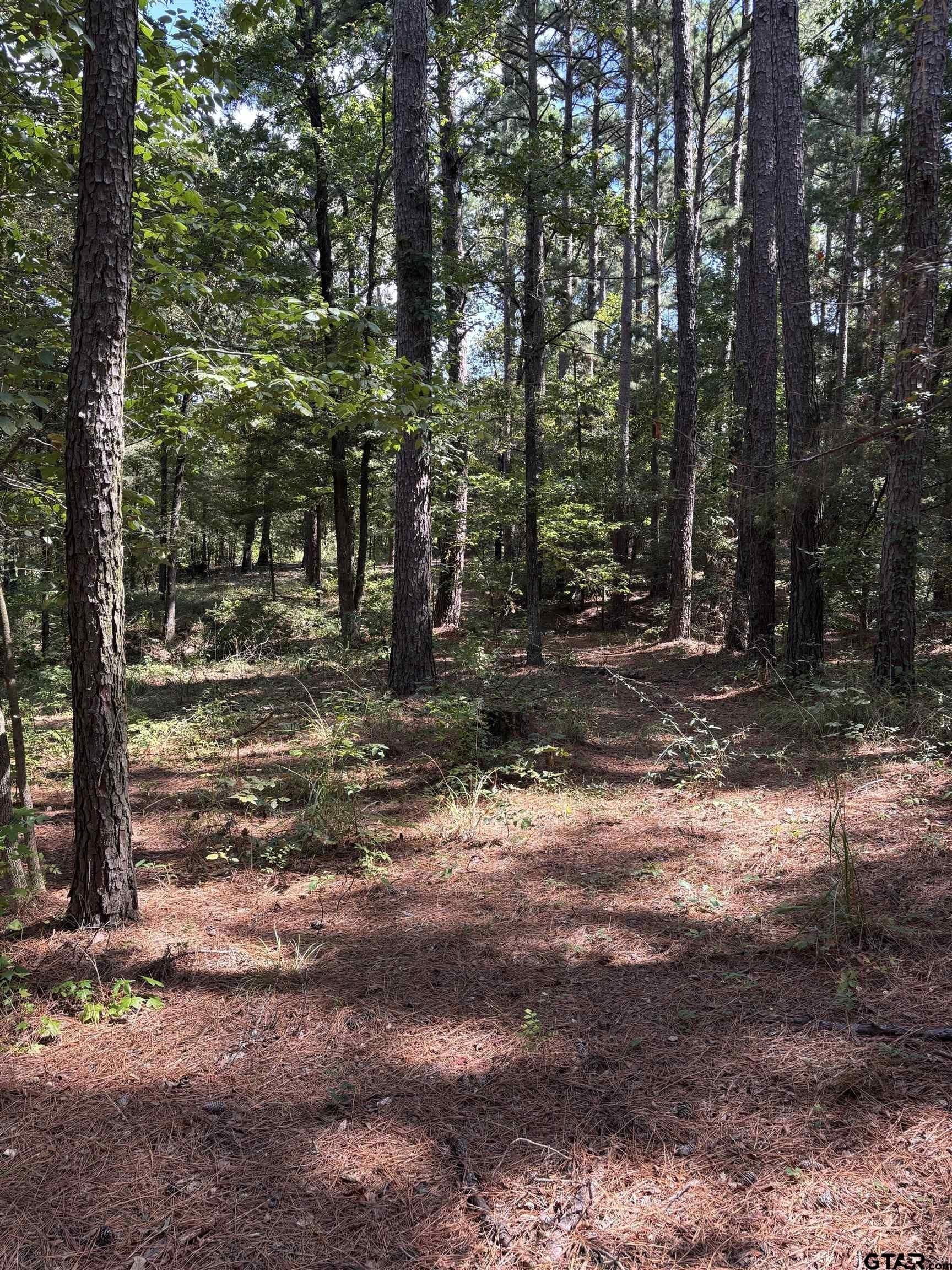 15.79 acres in Smith County - photo 4