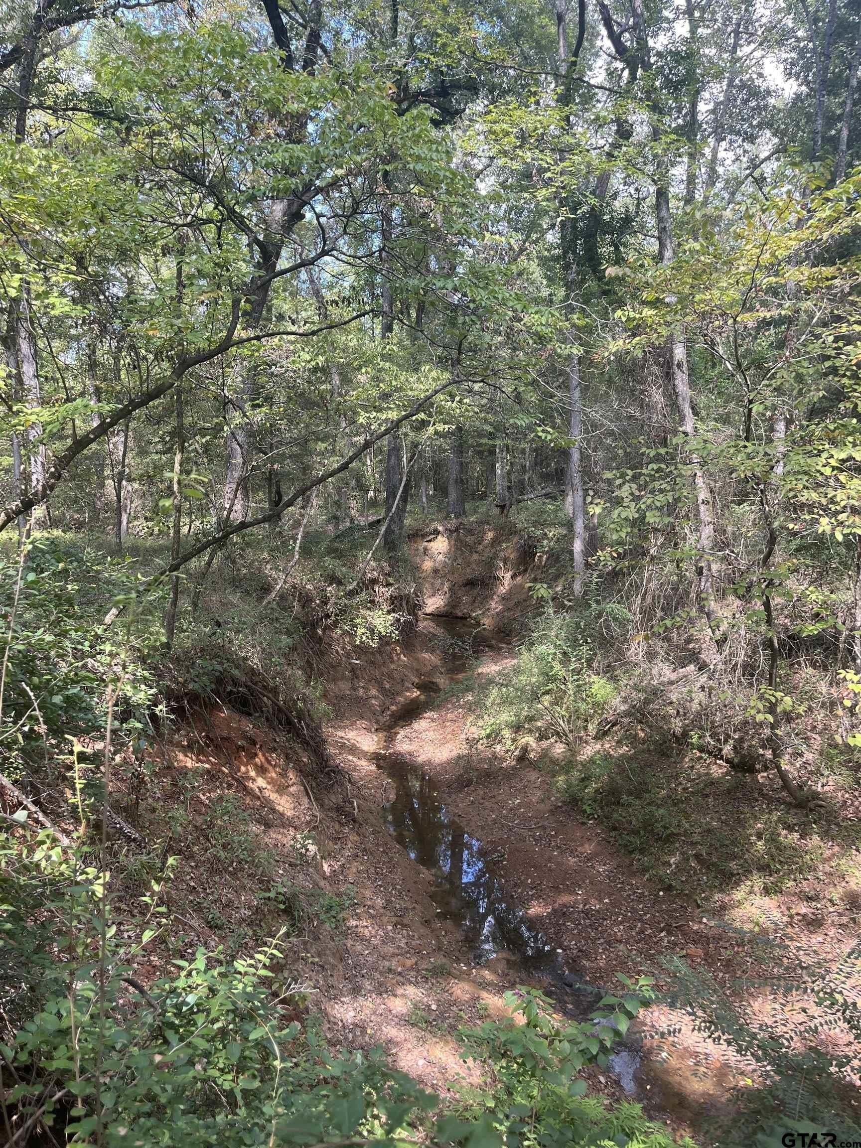 15.79 acres in Smith County - photo 9