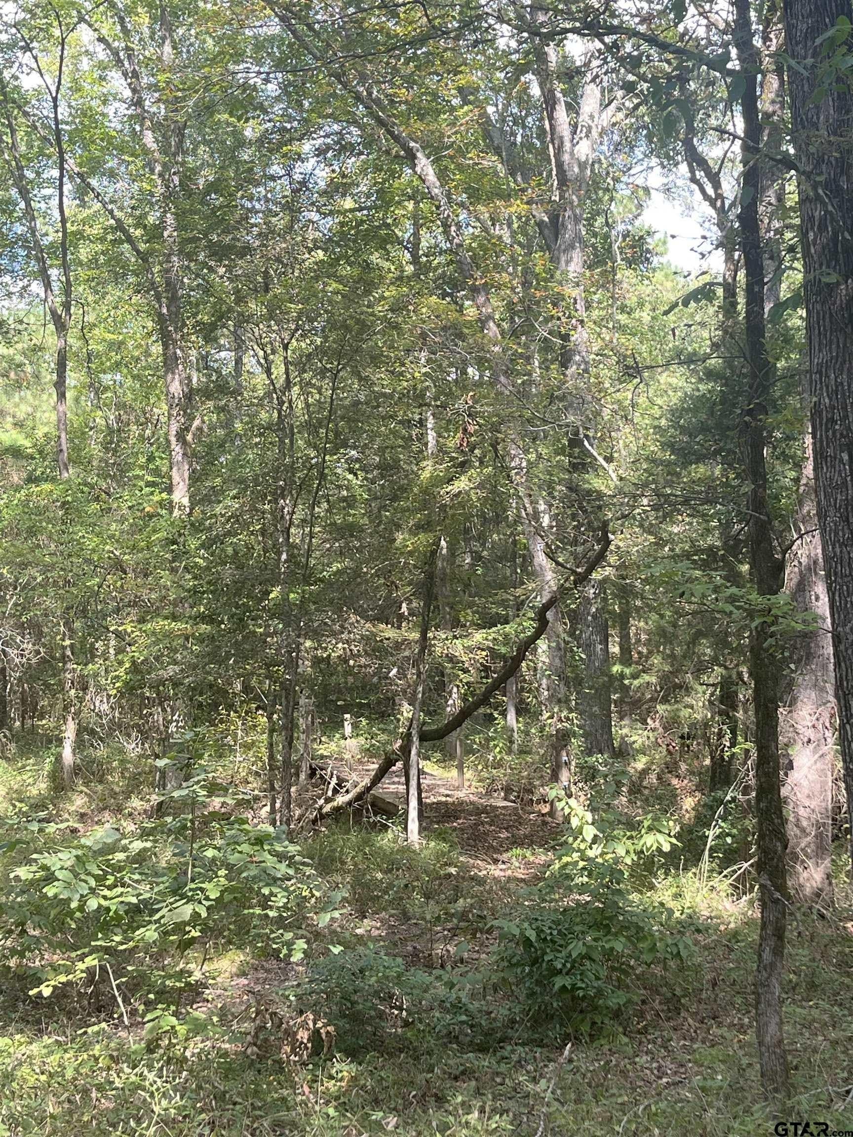15.79 acres in Smith County - photo 6