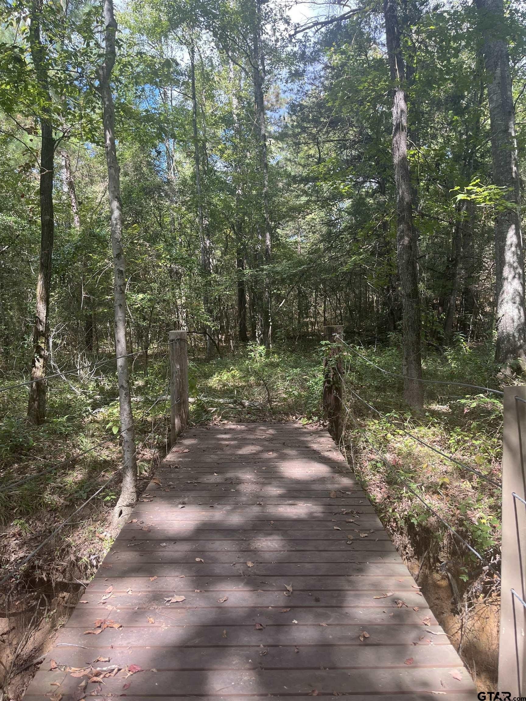 15.79 acres in Smith County - photo 2