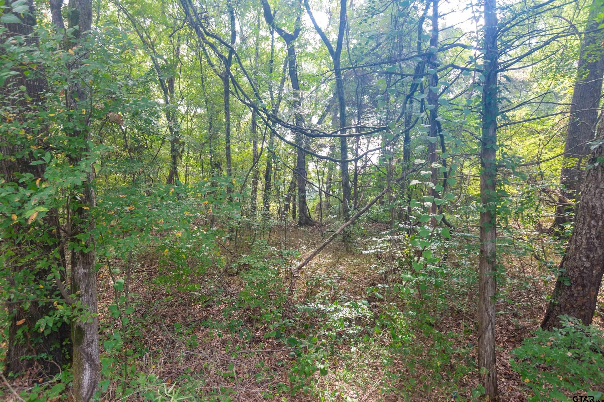 15.79 acres in Smith County - photo 3