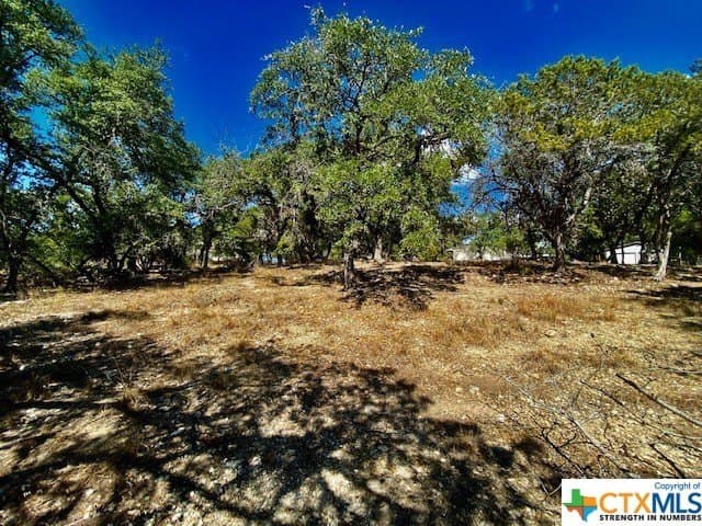 0.29 acres in Hays County - photo 6