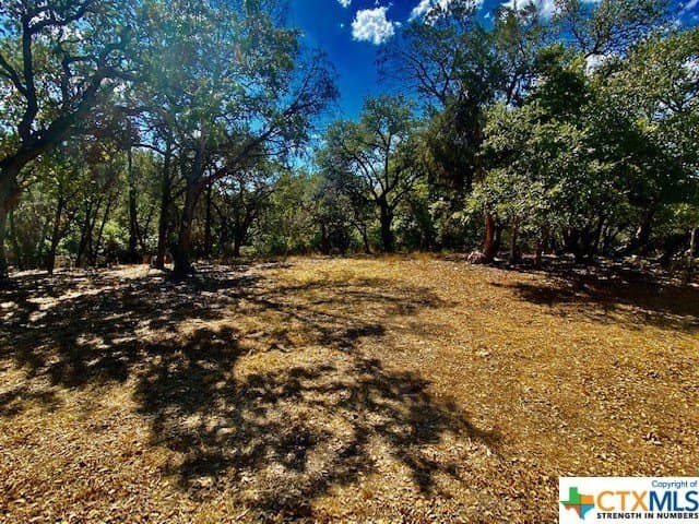 0.29 acres in Hays County - photo 3