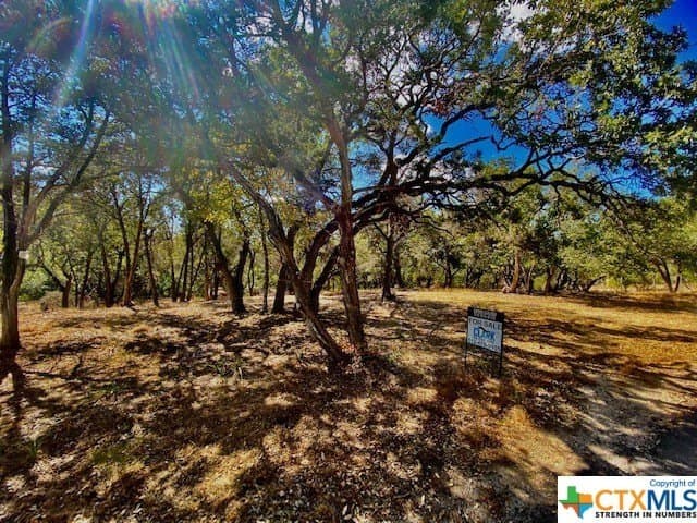 0.29 acres in Hays County - photo 4