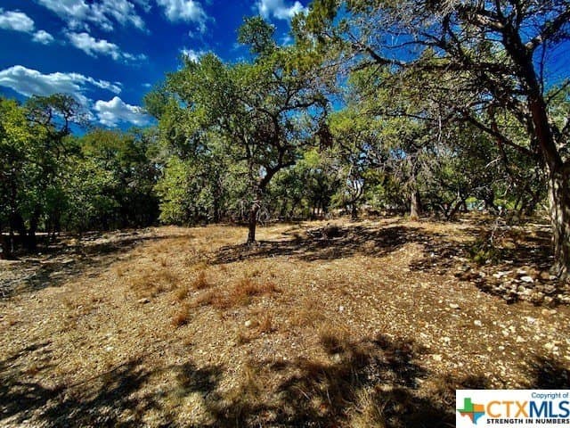 0.29 acres in Hays County - photo 5