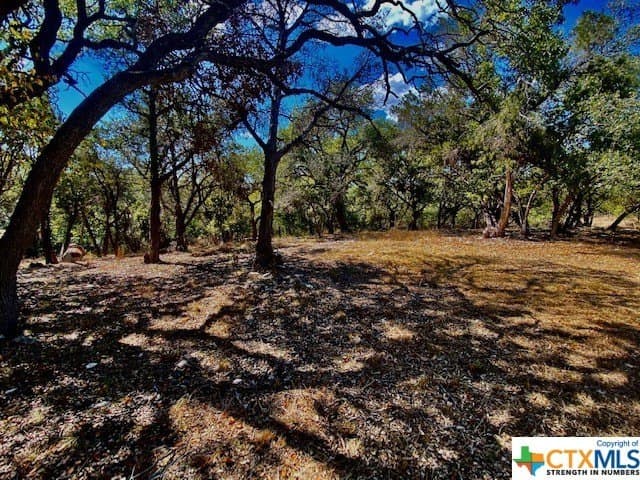 0.29 acres in Hays County - photo 2
