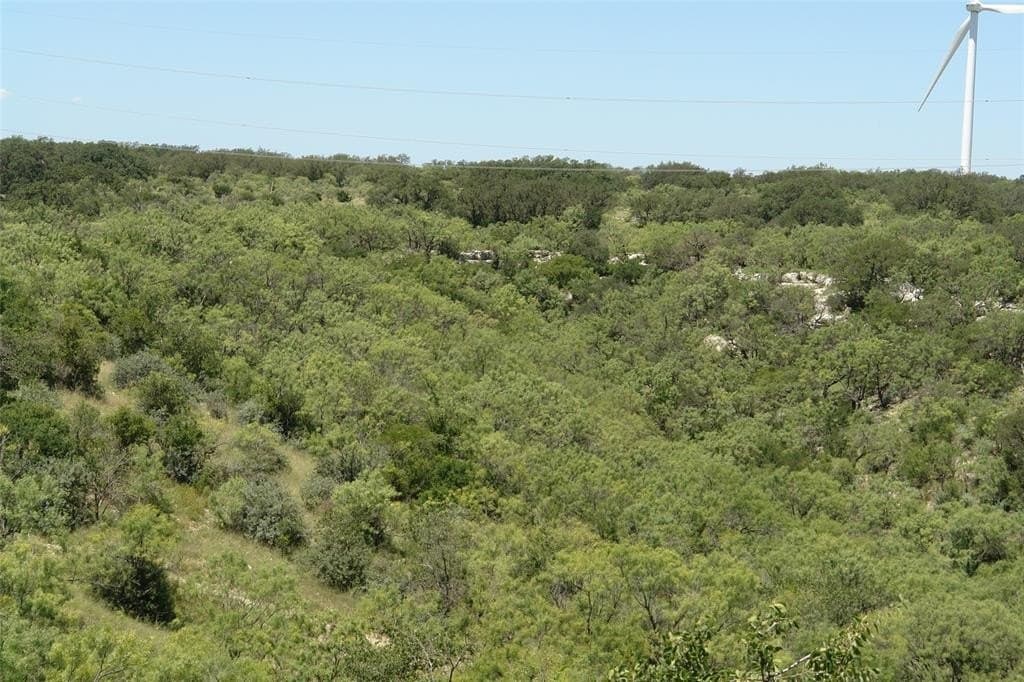 100 acres in McCulloch County - photo 9