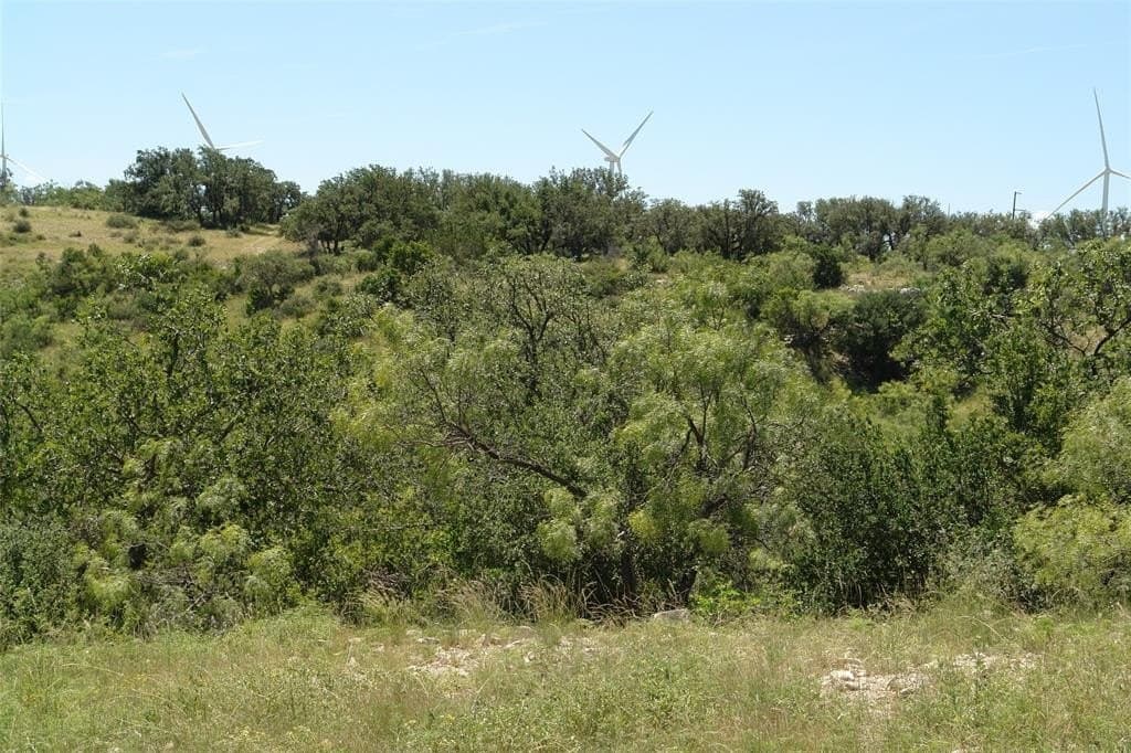 100 acres in McCulloch County - photo 3