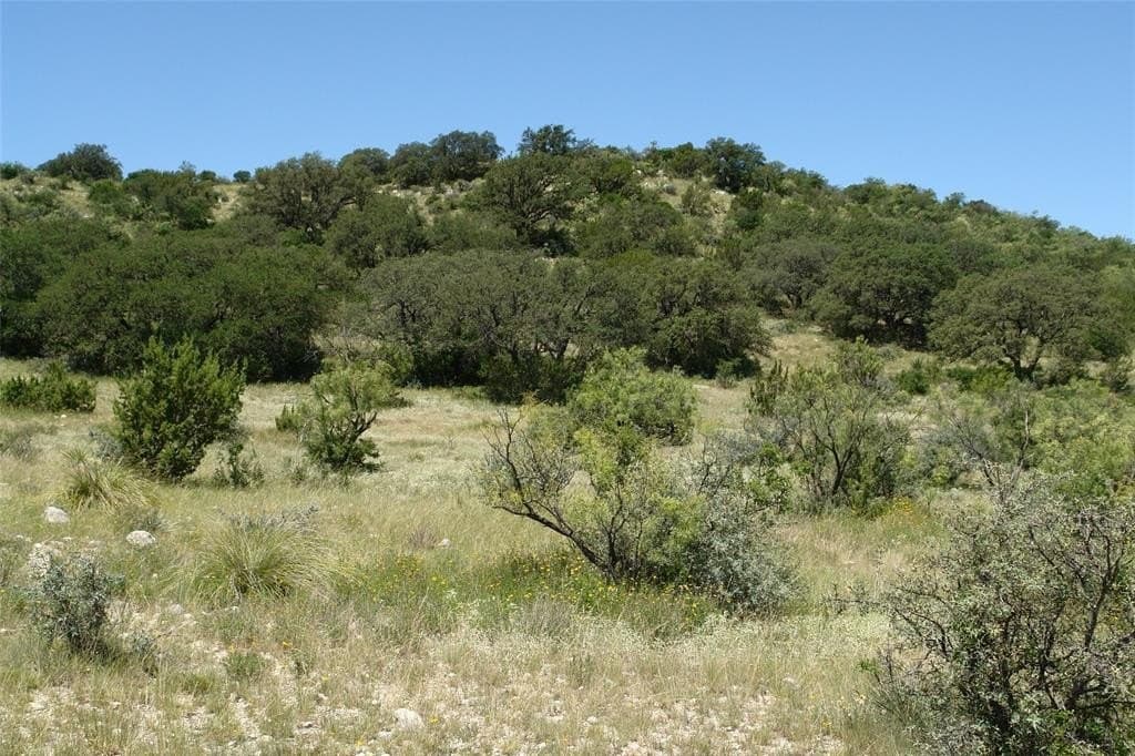 100 acres in McCulloch County - photo 8