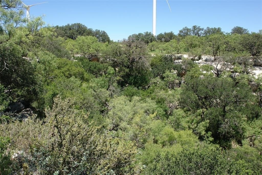 100 acres in McCulloch County - photo 17