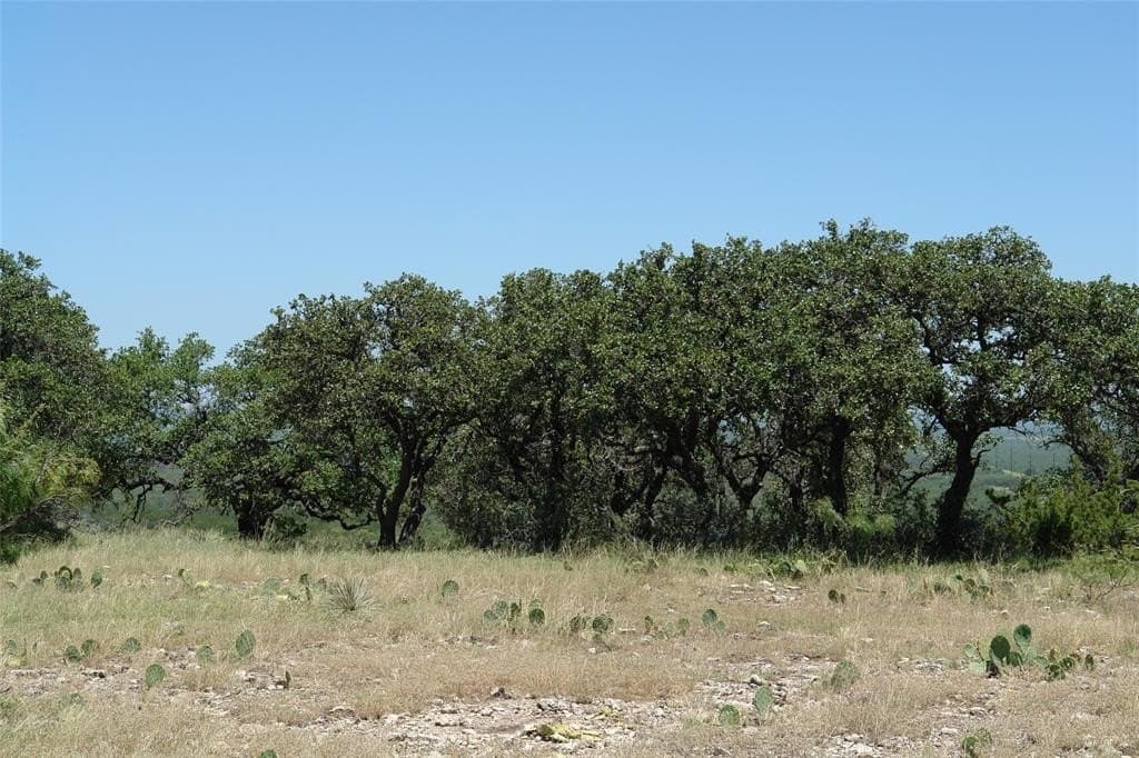 100 acres in McCulloch County - photo 13
