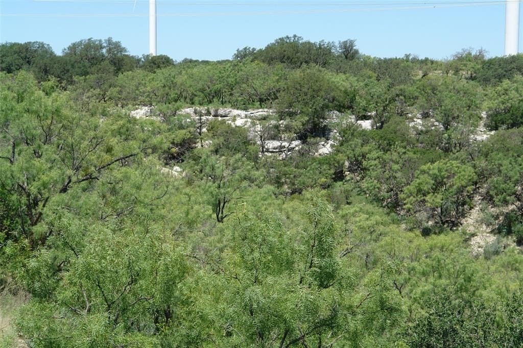 100 acres in McCulloch County - photo 14