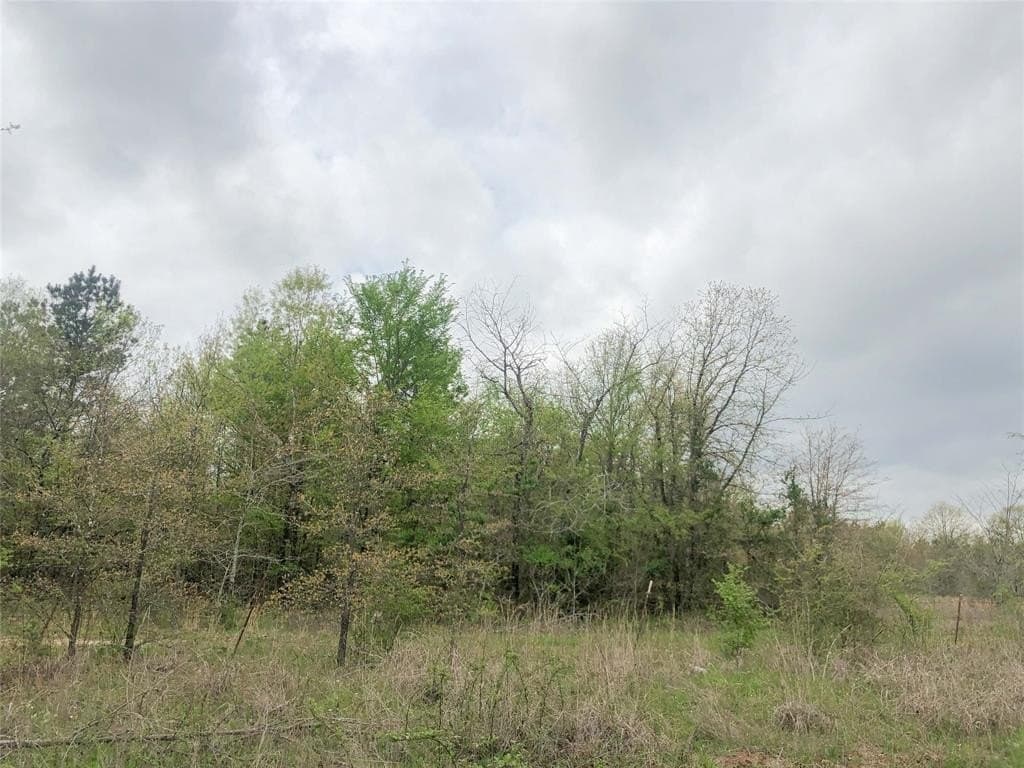 699 acres in Red River (TX) County - photo 18