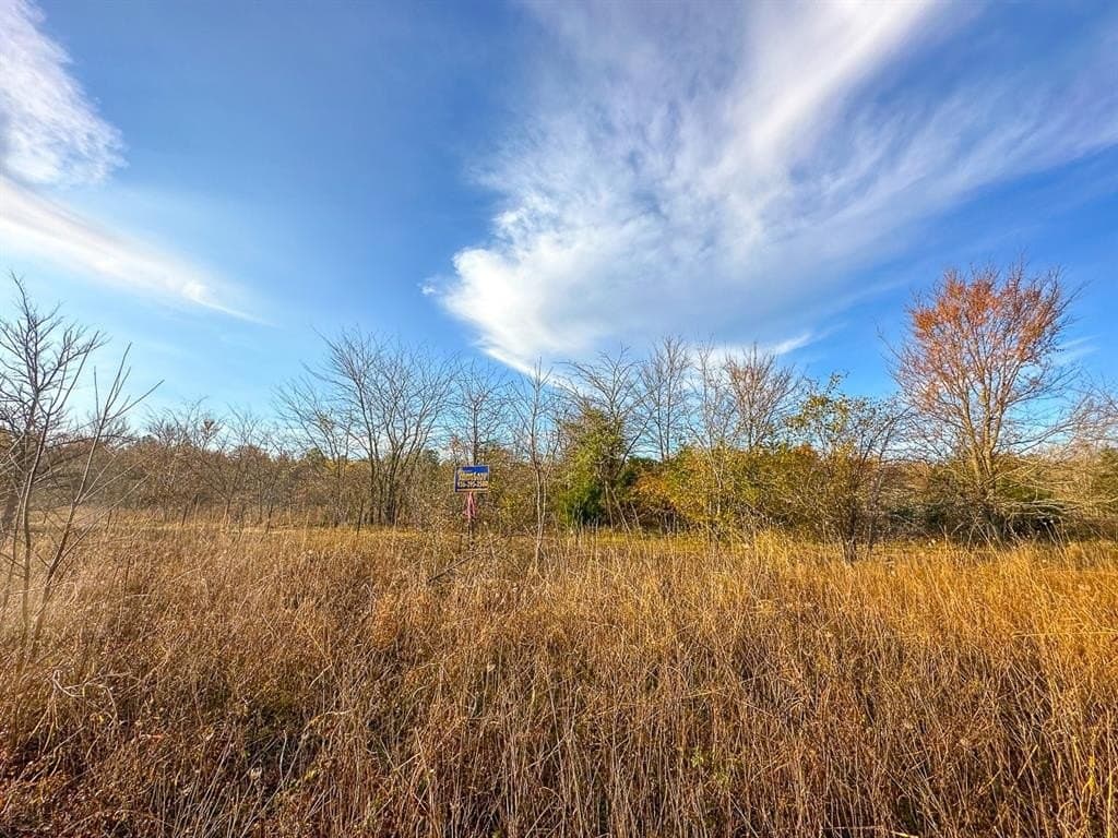 699 acres in Red River (TX) County - photo 3