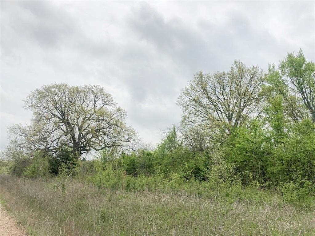 699 acres in Red River (TX) County - photo 14