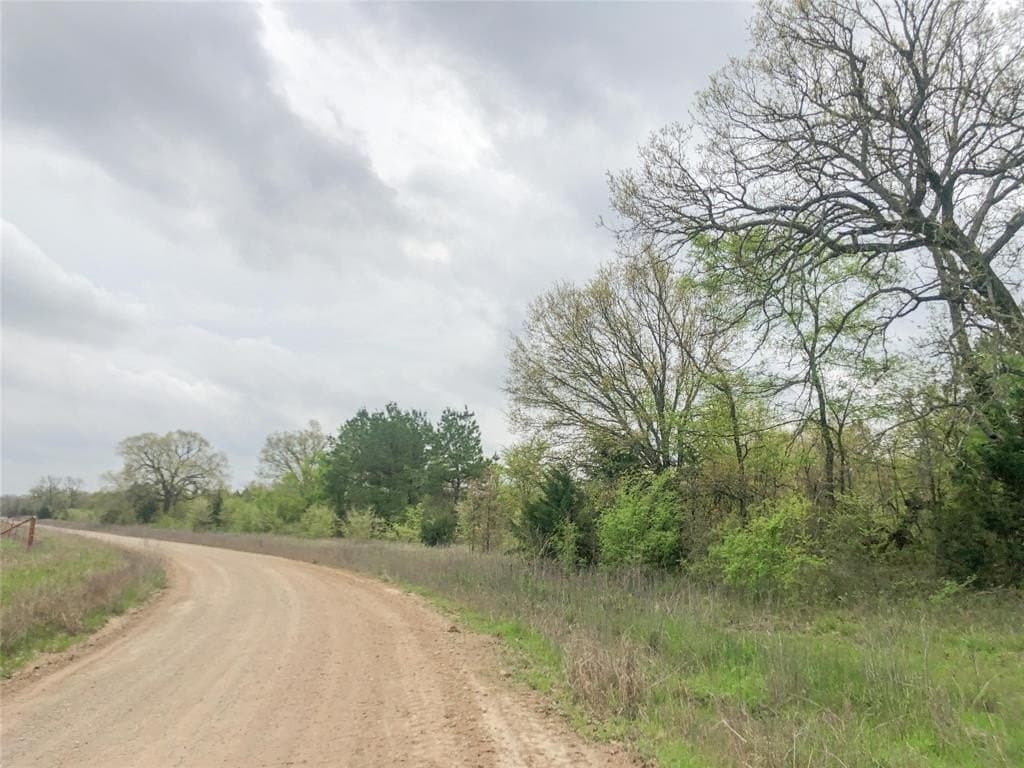 699 acres in Red River (TX) County - photo 10