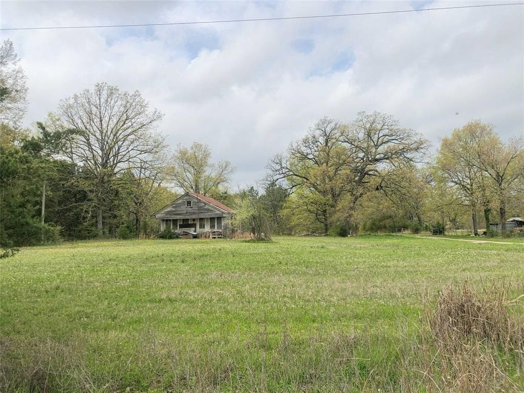 699 acres in Red River (TX) County - photo 6