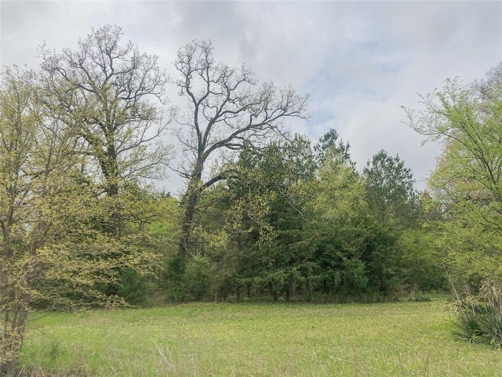 699 acres in Red River (TX) County - photo 8
