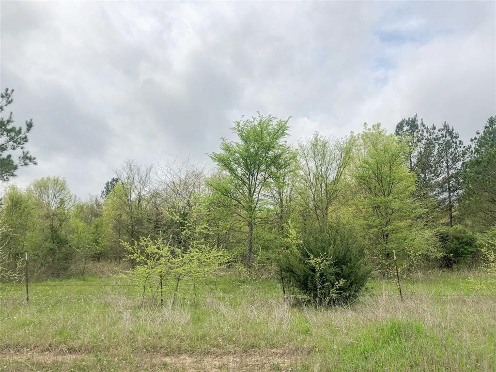 699 acres in Red River (TX) County - photo 11