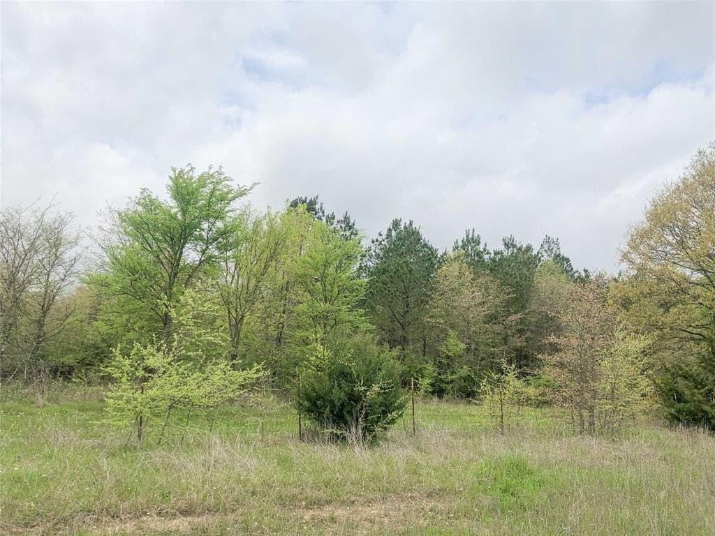 699 acres in Red River (TX) County - photo 12
