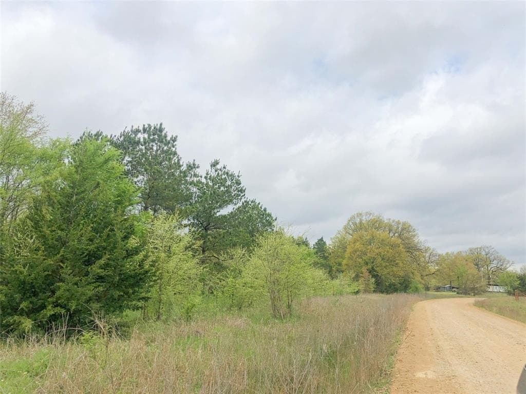 699 acres in Red River (TX) County - photo 15