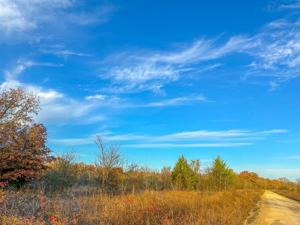 699 acres in Red River (TX) County - photo 2