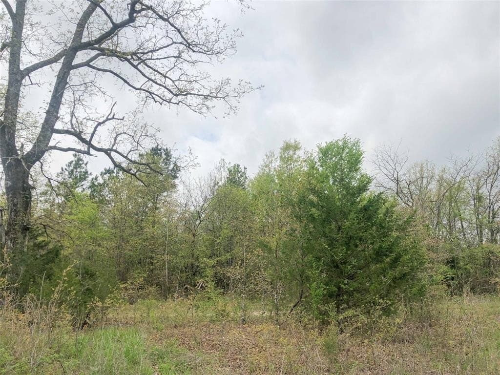 699 acres in Red River (TX) County - photo 5