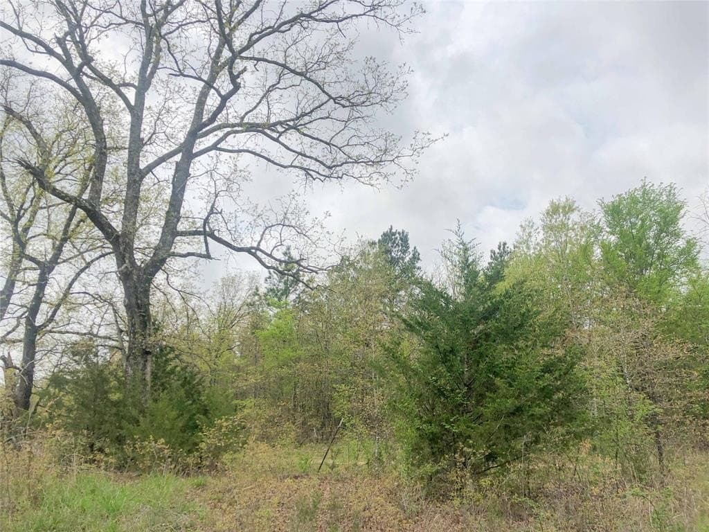 699 acres in Red River (TX) County - photo 19