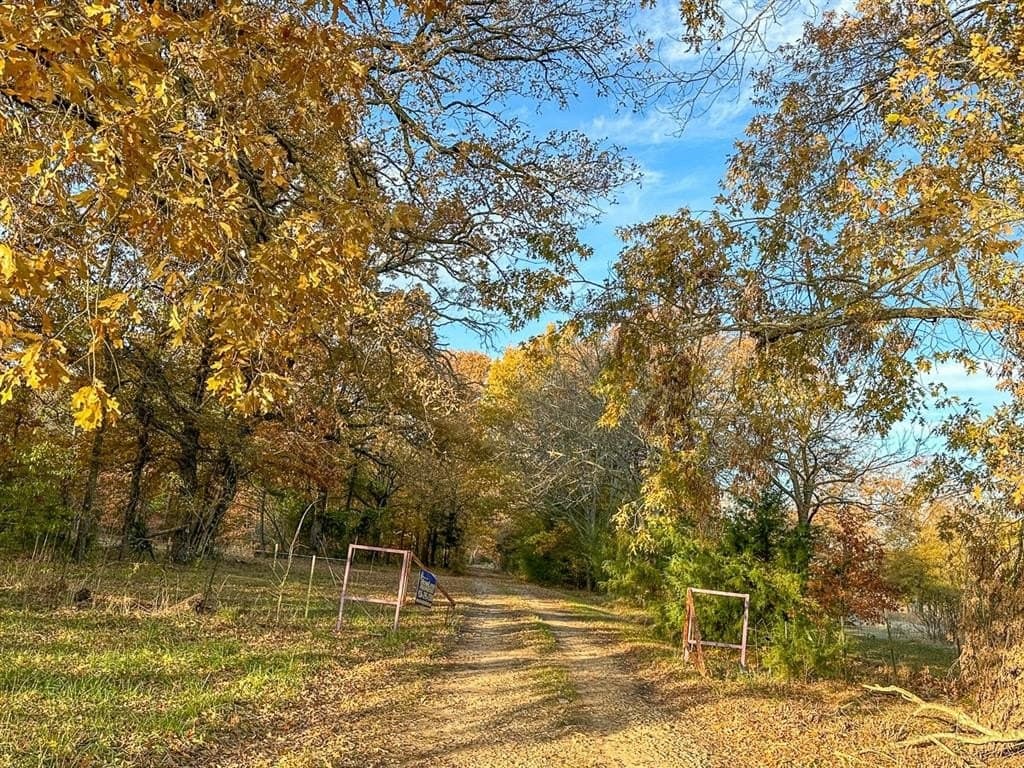 699 acres in Red River (TX) County - photo 4