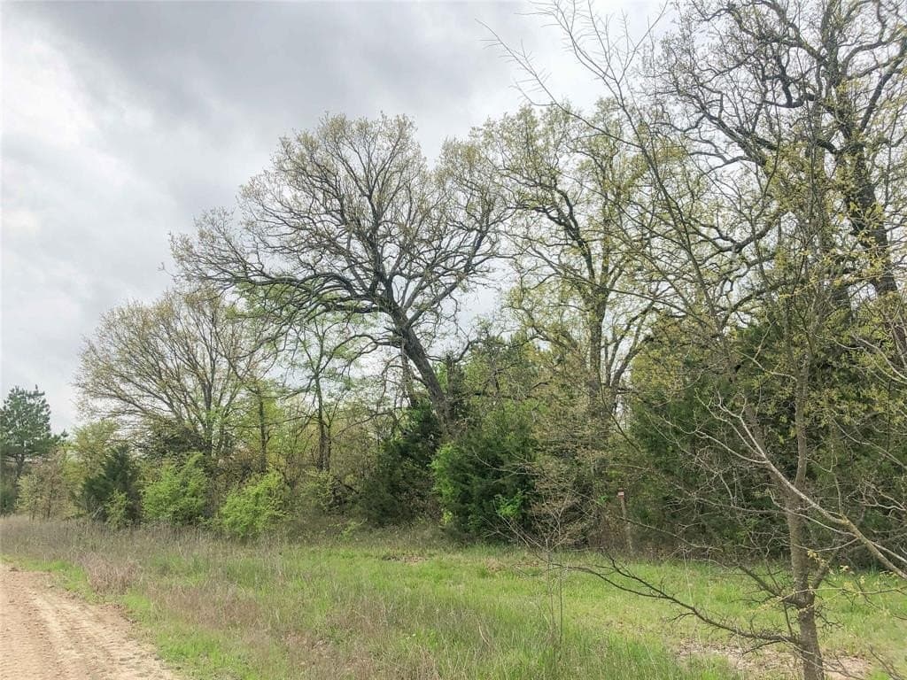 699 acres in Red River (TX) County - photo 9