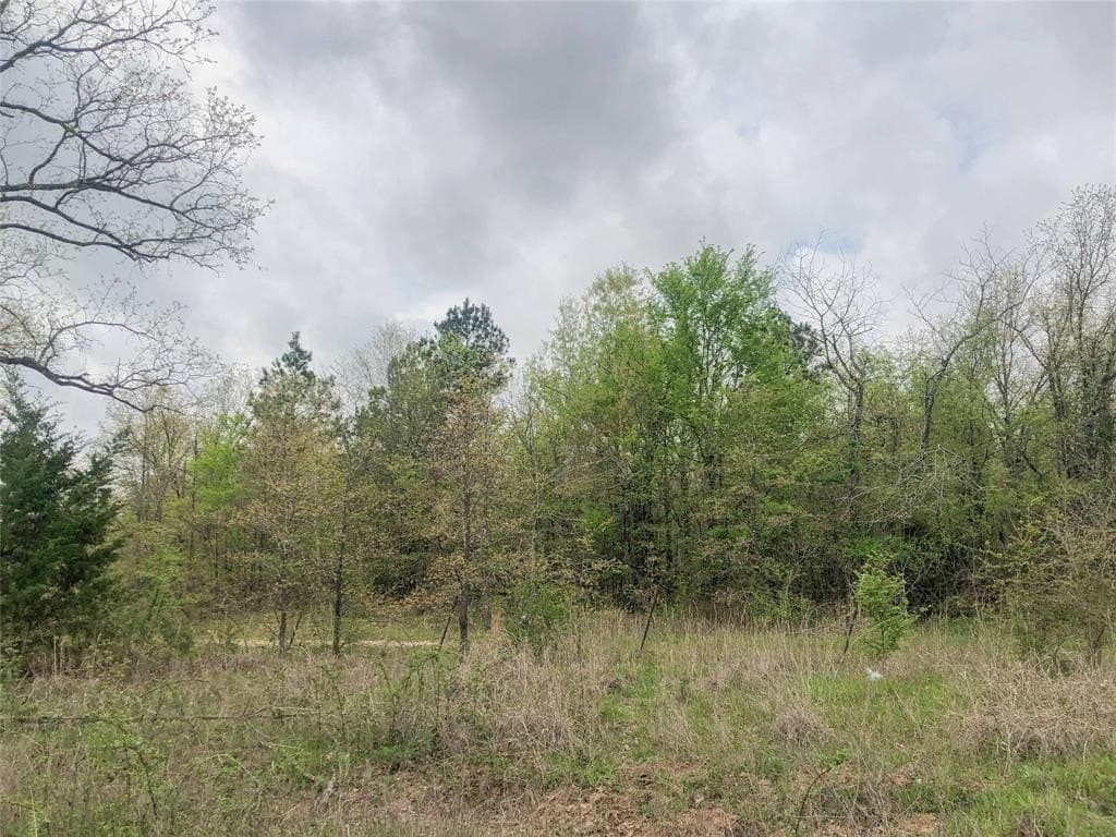 699 acres in Red River (TX) County - photo 17