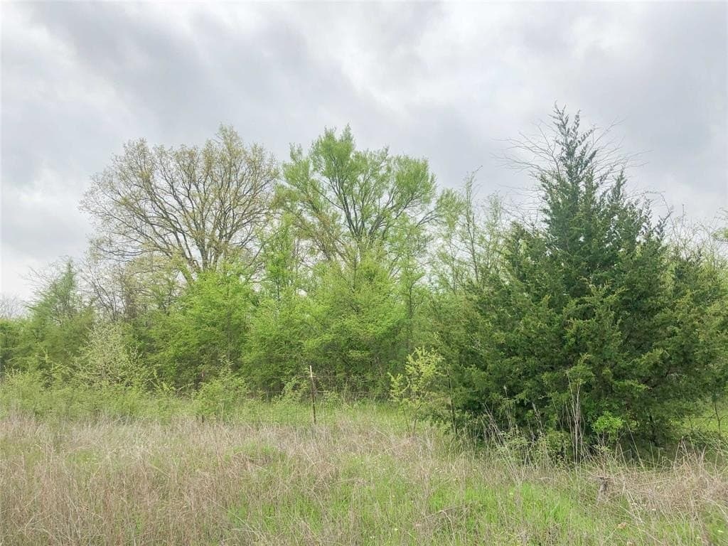 699 acres in Red River (TX) County - photo 13