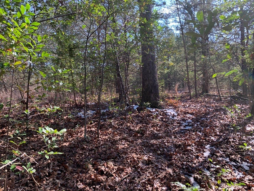 0.8 acres in Henderson County - photo 7