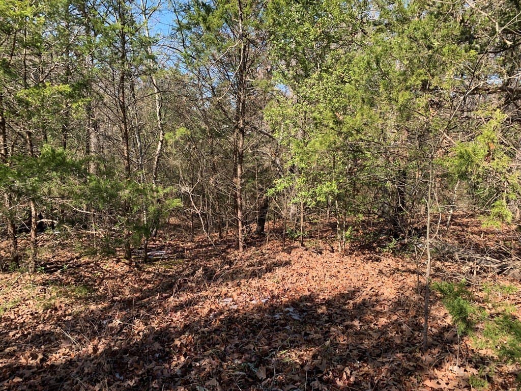 0.8 acres in Henderson County - photo 9
