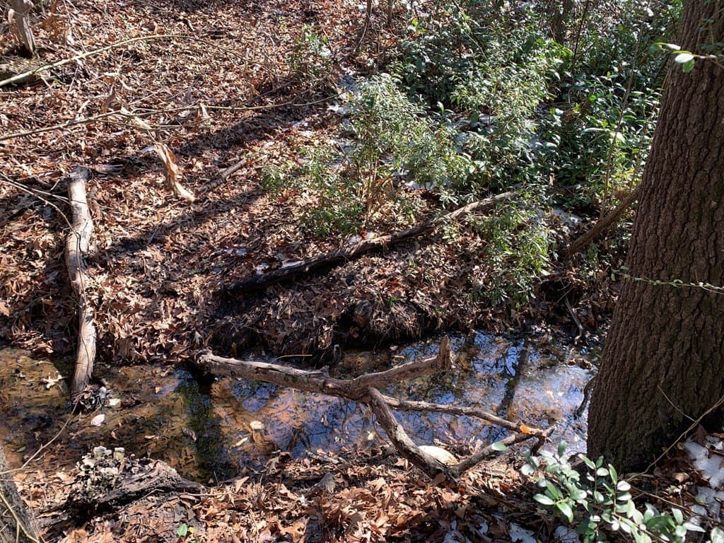 0.8 acres in Henderson County - photo 6