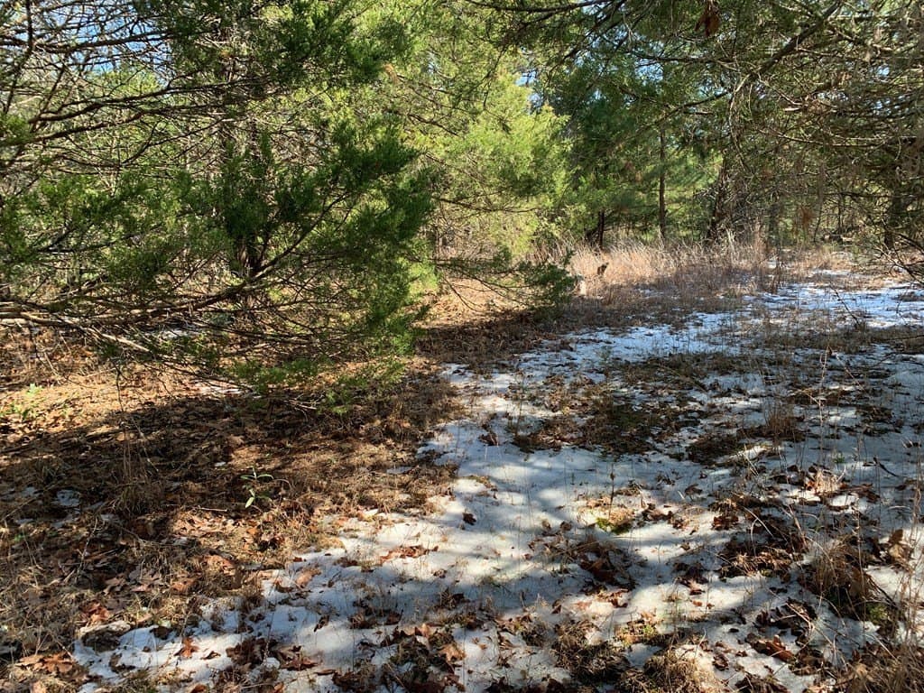 0.8 acres in Henderson County - photo 8