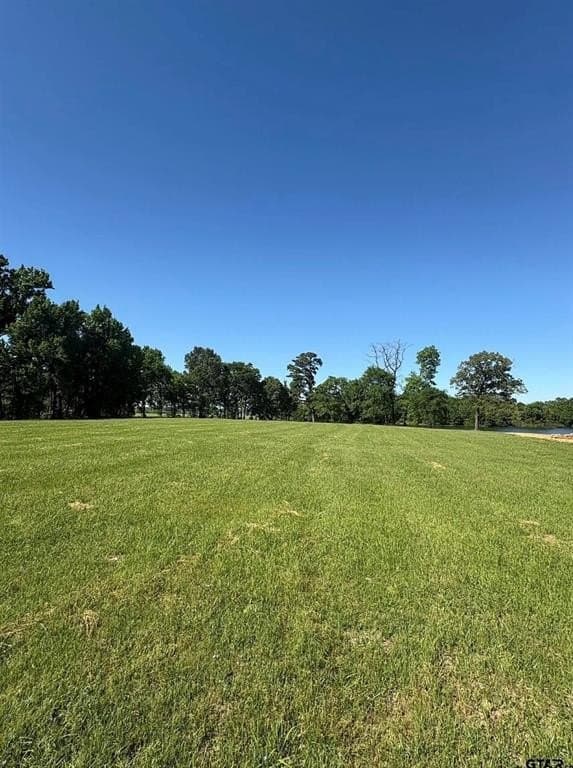 1.14 acres in Titus County - photo 4