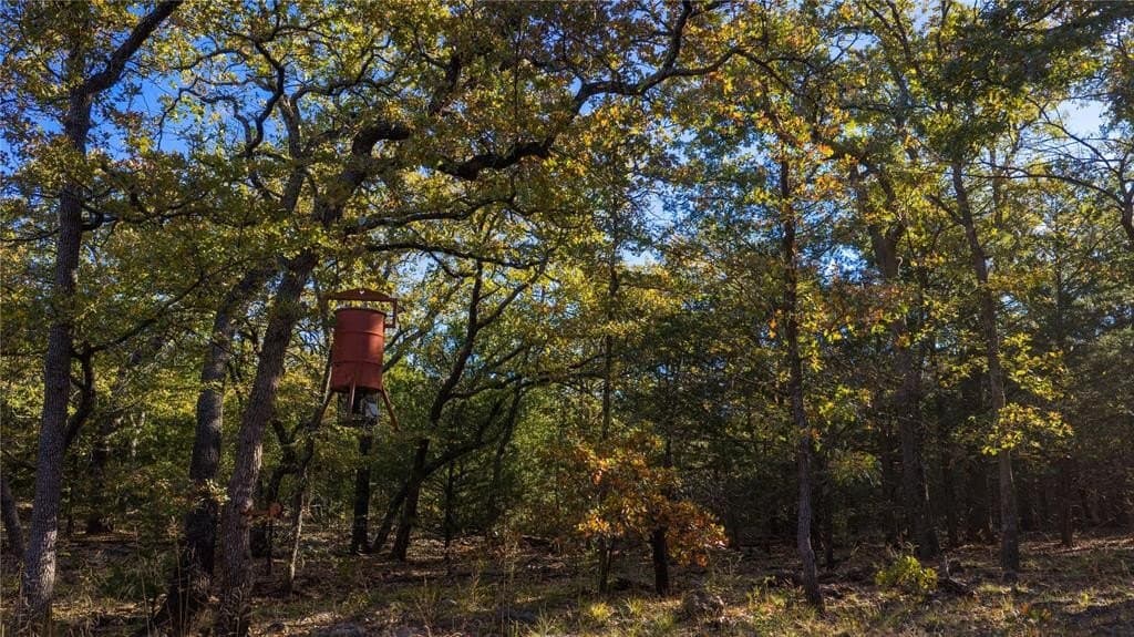 232 acres in Cooke County - photo 36