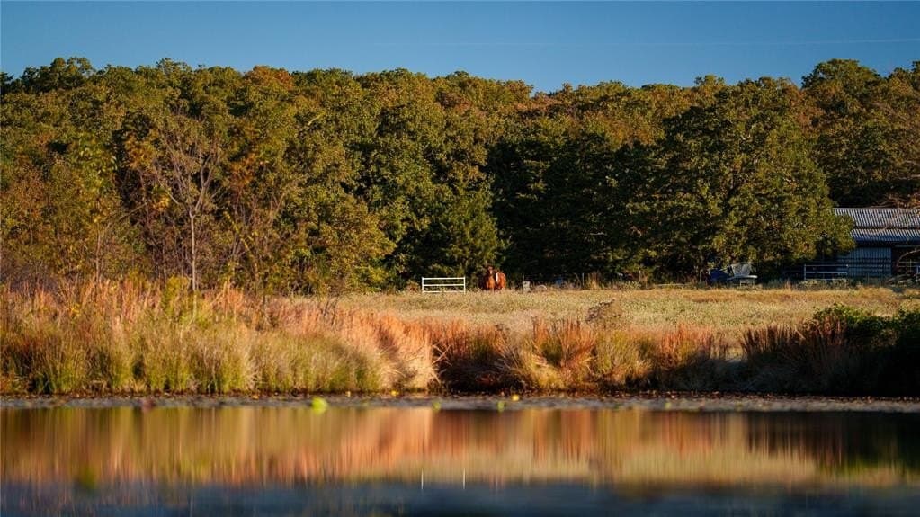 232 acres in Cooke County - photo 6